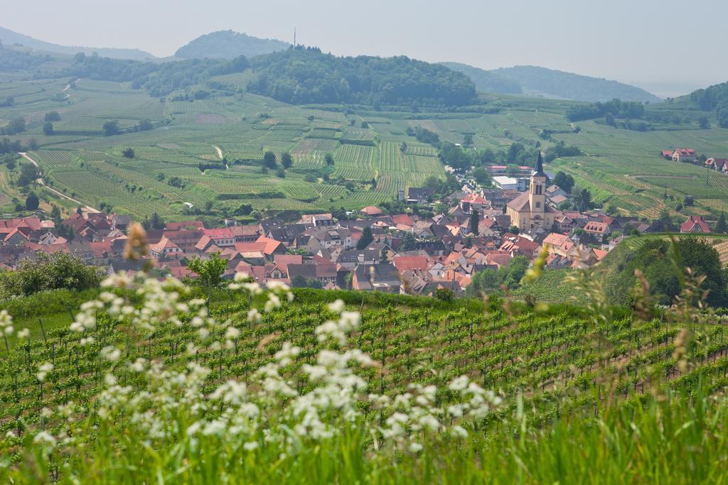 Braviscasa - Ferienresidenz Stadttor Endingen Appartement